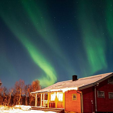 Trivelig Hytte I Senja. Exteriér fotografie