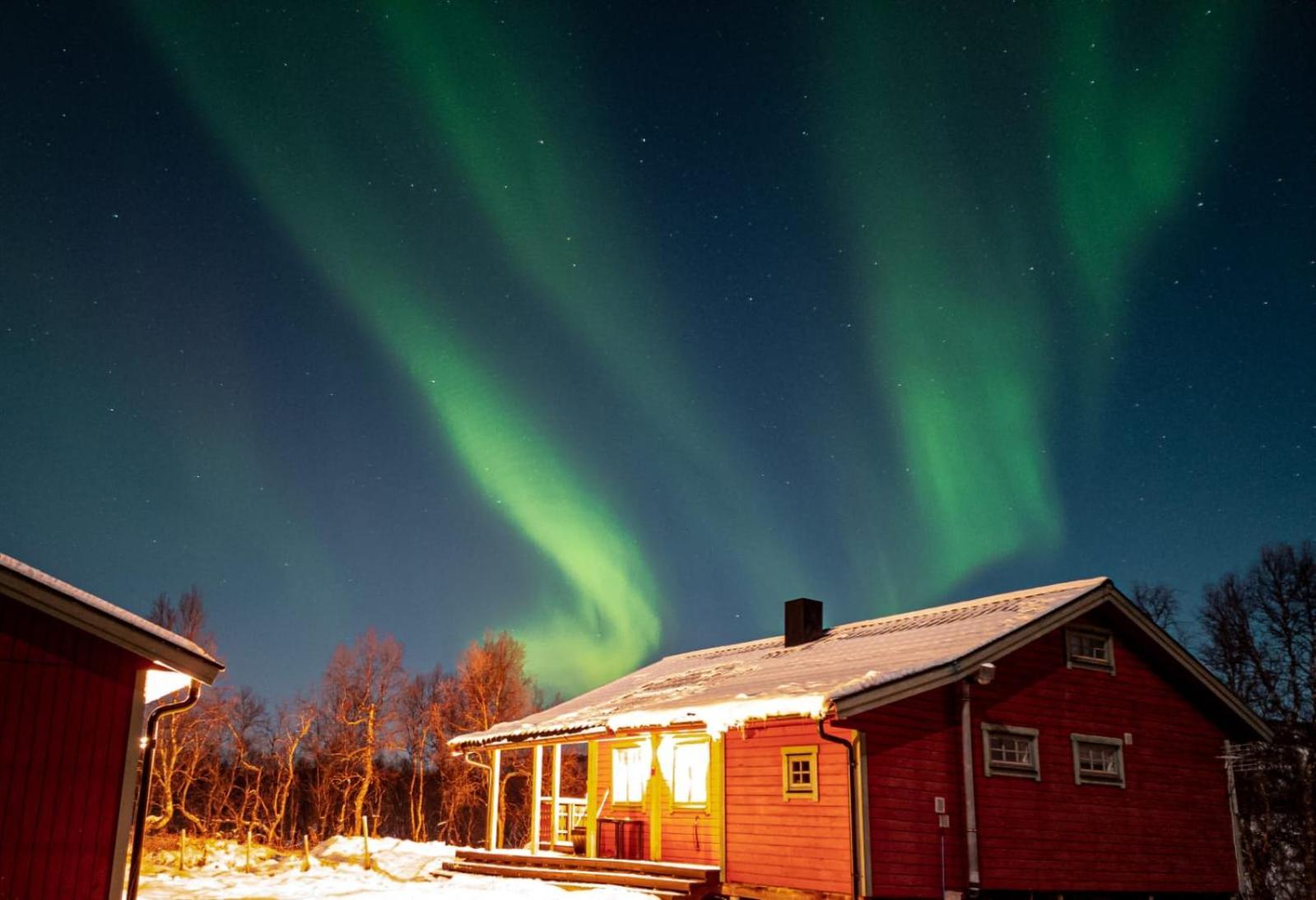 Trivelig Hytte I Senja. Exteriér fotografie