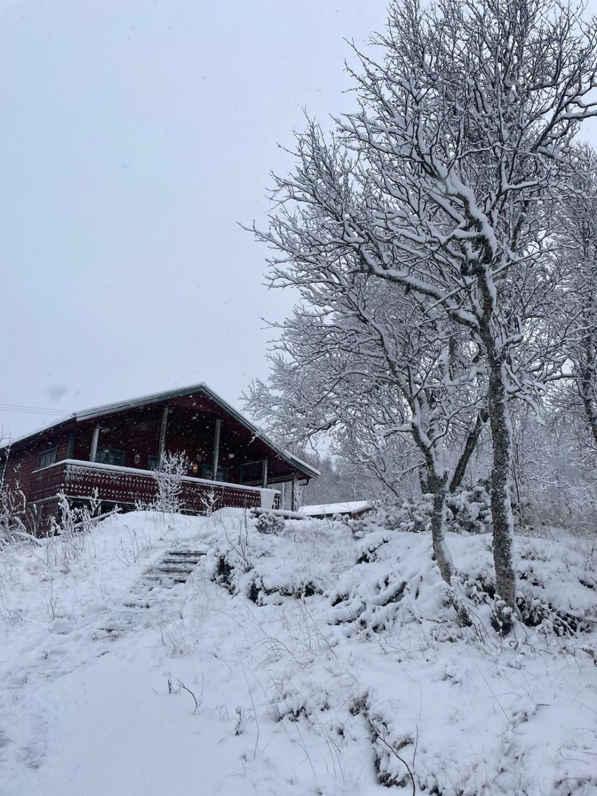 Trivelig Hytte I Senja. Exteriér fotografie